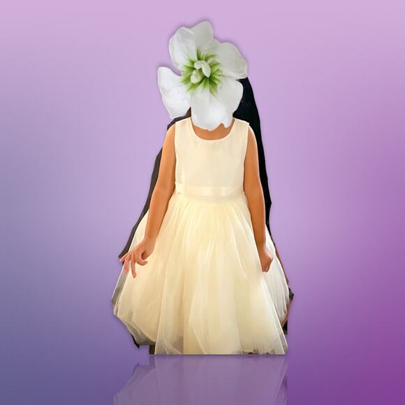 Pippa & Julie Shantung Flower Girl Dress - Size 3T - Picture 6 of 13